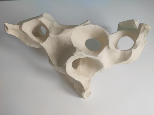 Bone